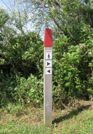 Kongeåstien markeringspæl med rød top og pile, der indikerer retningen af stien. Foto: Charlotte Lindhardt. 